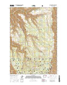 Shamrock Creek 2017 topographic map thumbnail