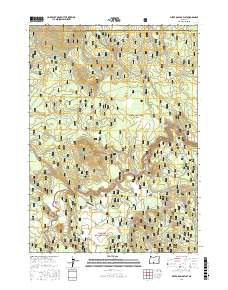 Silver Dollar Flat 2017 topographic map thumbnail