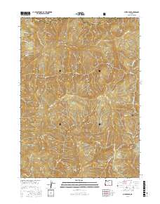 Silver Peak 2017 topographic map thumbnail