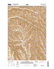 Skinners Fork 2017 topographic map thumbnail
