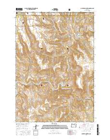 Slickear Mountain 2017 topographic map thumbnail