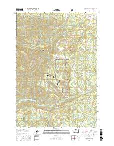 Socialist Valley 2017 topographic map thumbnail