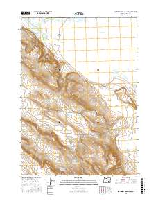 Southwest Harney Lake 2017 topographic map thumbnail