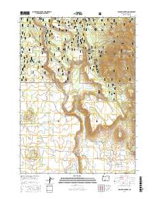 Spodue Mountain 2017 topographic map thumbnail
