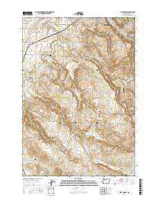 Stayton NE 2017 topographic map thumbnail