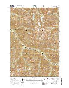 Steamboat Lake 2017 topographic map thumbnail