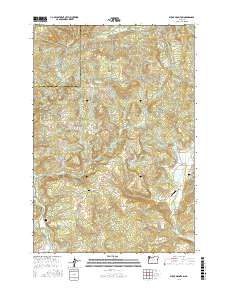 Stony Mountain 2017 topographic map thumbnail