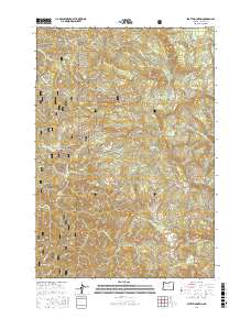 Stott Mountain 2017 topographic map thumbnail