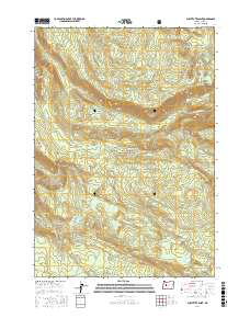 Substitute Point 2017 topographic map preview