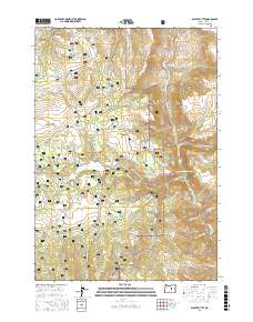 Suplee Butte 2017 topographic map thumbnail