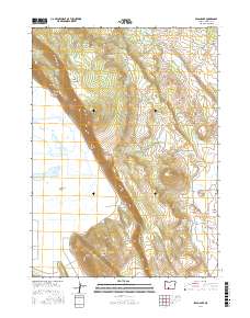 Swan Lake 2017 topographic map thumbnail