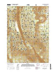Swan Lake Point 2017 topographic map thumbnail