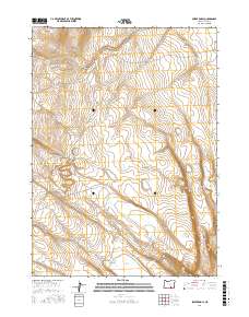 Swede Knoll 2017 topographic map thumbnail