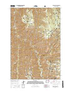 Table Mountain 2017 topographic map thumbnail