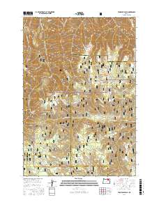Tamarack Gulch 2017 topographic map thumbnail