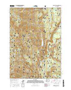 Tamolitch Falls 2017 topographic map thumbnail