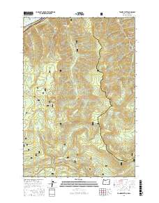 Tanner Butte 2017 topographic map thumbnail