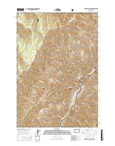 Temperance Creek 2017 topographic map thumbnail