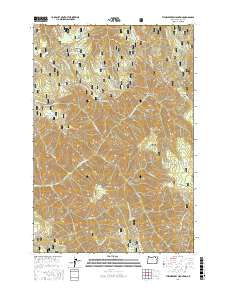 Thimbleberry Mountain 2017 topographic map thumbnail