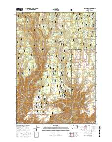 Thompson Flat 2017 topographic map thumbnail