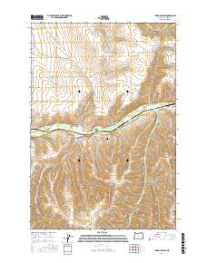 Thorn Hollow 2017 topographic map thumbnail
