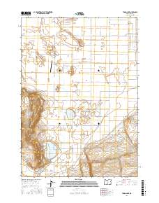 Thorn Lake 2017 topographic map thumbnail