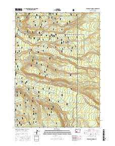 Thousand Springs 2017 topographic map thumbnail