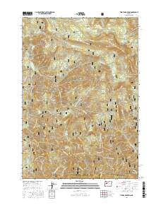 Tidbits Mountain 2017 topographic map thumbnail