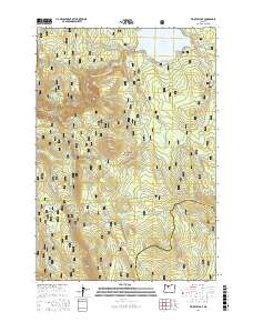 Timothy Lake 2017 topographic map thumbnail