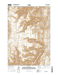 Tims Peak 2017 topographic map thumbnail