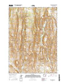 Tin Can Ridge 2017 topographic map thumbnail