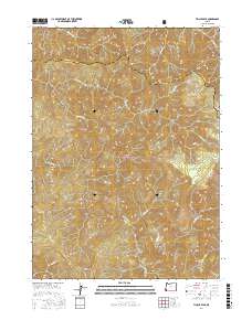 Tincup Peak 2017 topographic map thumbnail