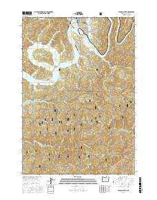 Toledo South 2017 topographic map thumbnail