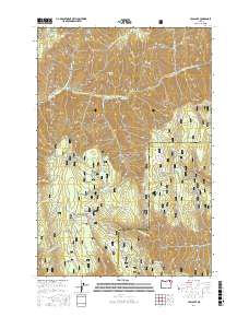 Tollgate 2017 topographic map preview