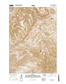 Toney Butte 2017 topographic map thumbnail