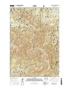 Tower Mountain 2017 topographic map thumbnail