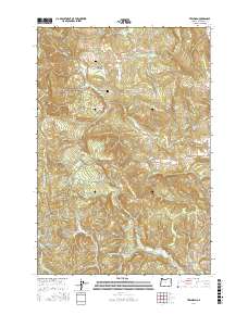 Trenholm 2017 topographic map thumbnail
