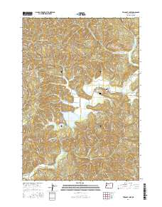Triangle Lake 2017 topographic map thumbnail