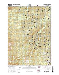 Trout Creek Butte 2017 topographic map thumbnail