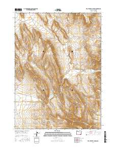 Trout Creek Canyon 2017 topographic map thumbnail