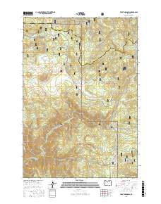 Trout Meadows 2017 topographic map thumbnail