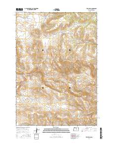 Tubb Spring 2017 topographic map preview