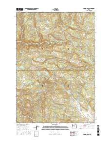 Turner Creek 2017 topographic map thumbnail