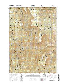 Turner Mountain 2017 topographic map thumbnail