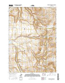 Twelvemile Reservoir 2017 topographic map thumbnail