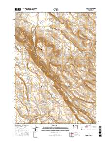 Twin Buttes 2017 topographic map thumbnail