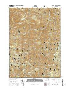 Twin Lakes Mountain 2017 topographic map thumbnail