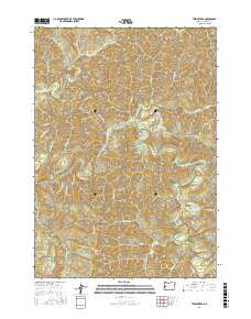Twin Sisters 2017 topographic map thumbnail