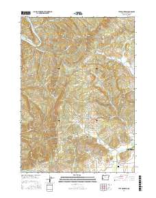 Tyee Mountain 2017 topographic map thumbnail