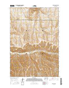 Vey Ranch 2017 topographic map thumbnail